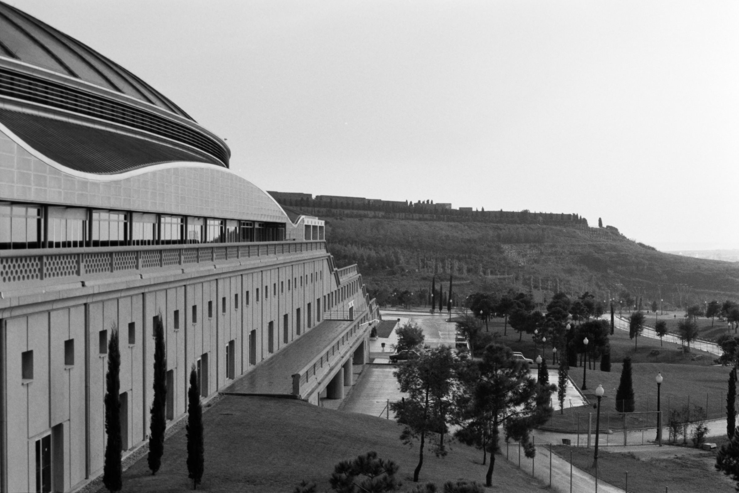 AHP F1995 10 001 sc240815 img18 NLP